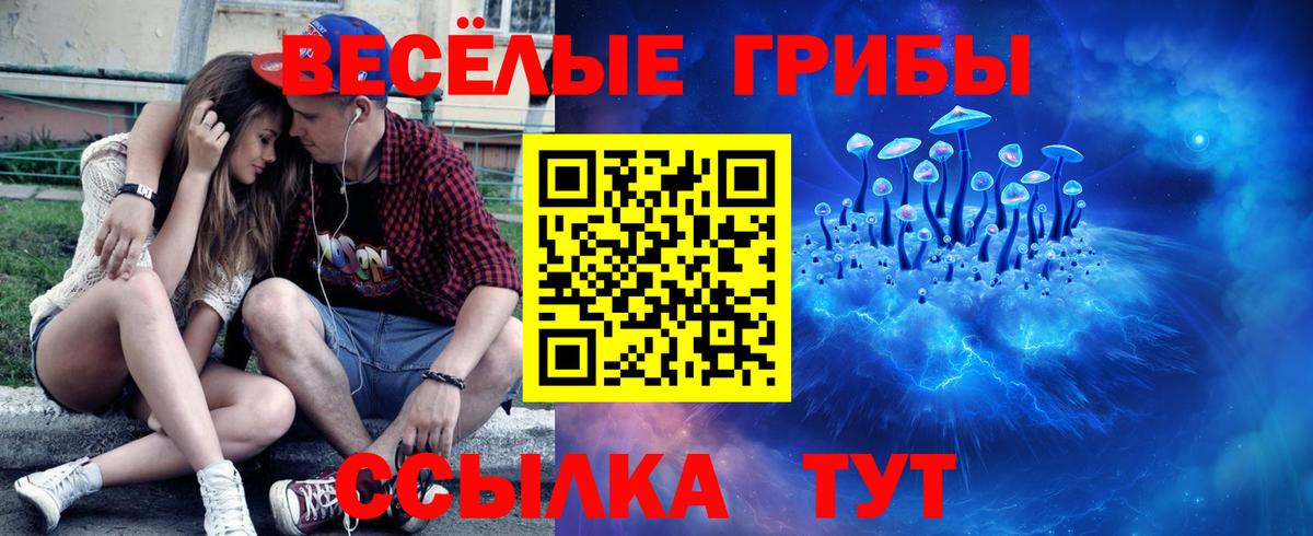 Галлюциногенные грибы Magic Shrooms  купить наркотики цена  Каменск-Уральский  Вход с VPN 